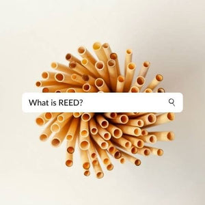 What is REED?